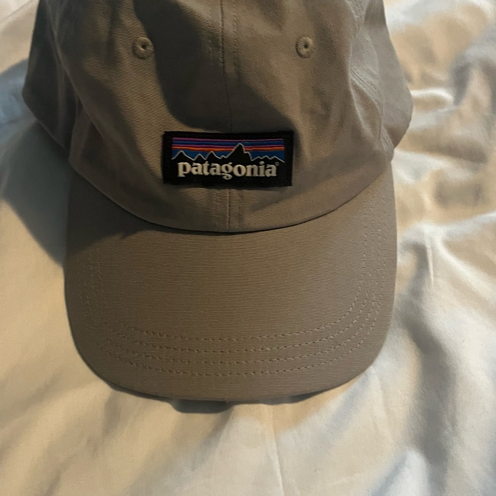 Patagonia Gray Baseball Cap